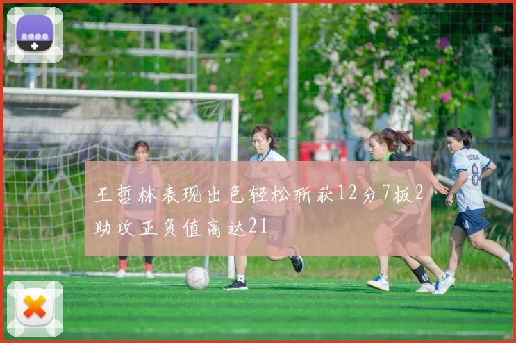 王哲林表现出色轻松斩获12分7板2助攻正负值高达21