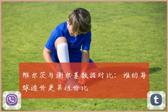 维尔茨与谢尔基数据对比：谁的每球造价更具性价比