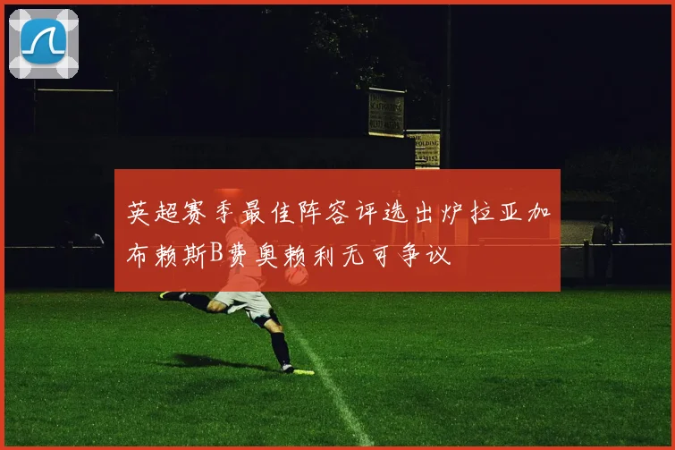 英超赛季最佳阵容评选出炉拉亚加布赖斯B费奥赖利无可争议